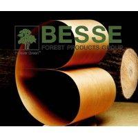 besse forest products group - a hoffmann family company logo image