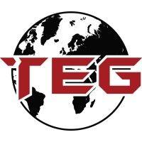 transemerge group logo image