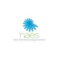 naes group logo image