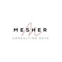 logo of Mesher Consulting Data