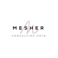 mesher consulting data