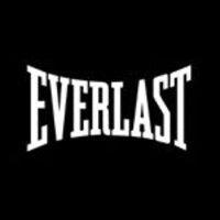 everlast worldwide logo image