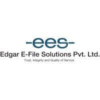 edgar e-file solutions pvt. ltd. logo image