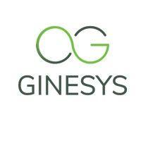 ginesys one logo image