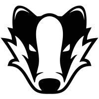 badger revenue logo image