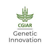 cgiar genetic innovation logo image