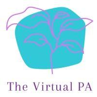 the virtual pa.biz logo image