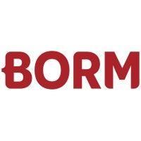 borm-informatik gmbh logo image