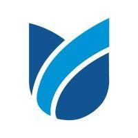 blueflower media logo image