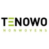 tenowo, inc logo image