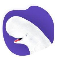 beluga interactive logo image