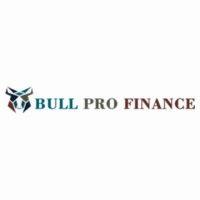 bull pro finance logo image