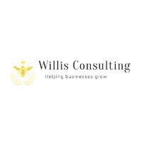 willis consulting logo image