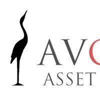 avondale asset management logo image