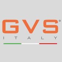 gvs italy logo image