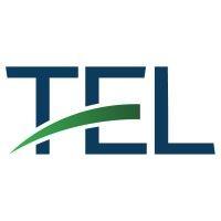 t. e. lott & company, cpa's logo image