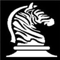 bold zebras logo image