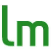 landm internet services,s.l. logo image