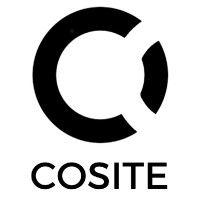 cosite ltd logo image