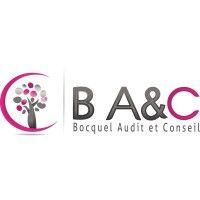 bocquel audit et conseil logo image