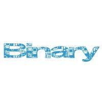 binary solutions logo image