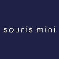 souris mini