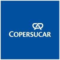 copersucar s.a. logo image