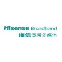 hisense broadband multimedia technologies, ltd. logo image