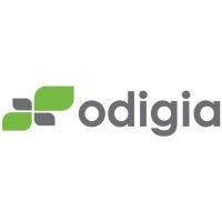 odigia logo image