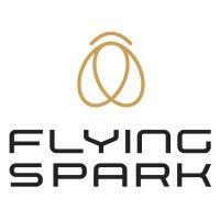 flying spark logo image