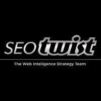 seo twist logo image