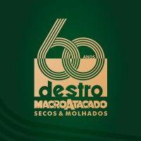 grupo destro logo image