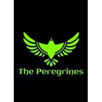 peregrines innovation logo image