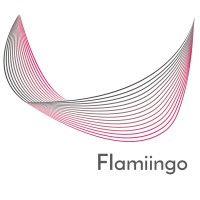 flamiingo system development ltd