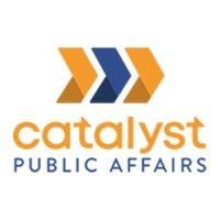 catalyst public affairs logo image