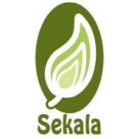 pt sekala logo image