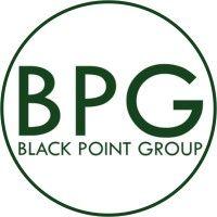 black point group logo image