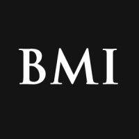 bmi business school istanbul logo image