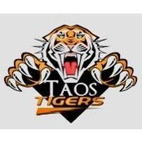 taos municipal schools logo image