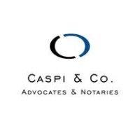 caspi & co. logo image