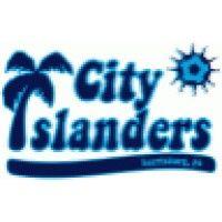 harrisburg city islanders logo image