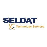 seldat technology services logo image