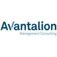 avantalion management consulting logo image