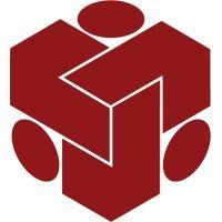 systemik solutions logo image