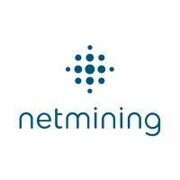 netmining logo image