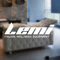 lemi group logo image