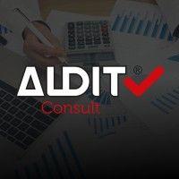 audit consult logo image