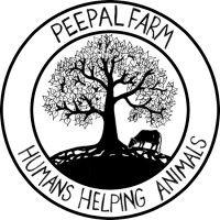 peepal farm logo image