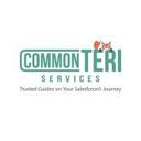 logo of Commonteri Services Inc