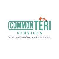 commonteri services, inc.